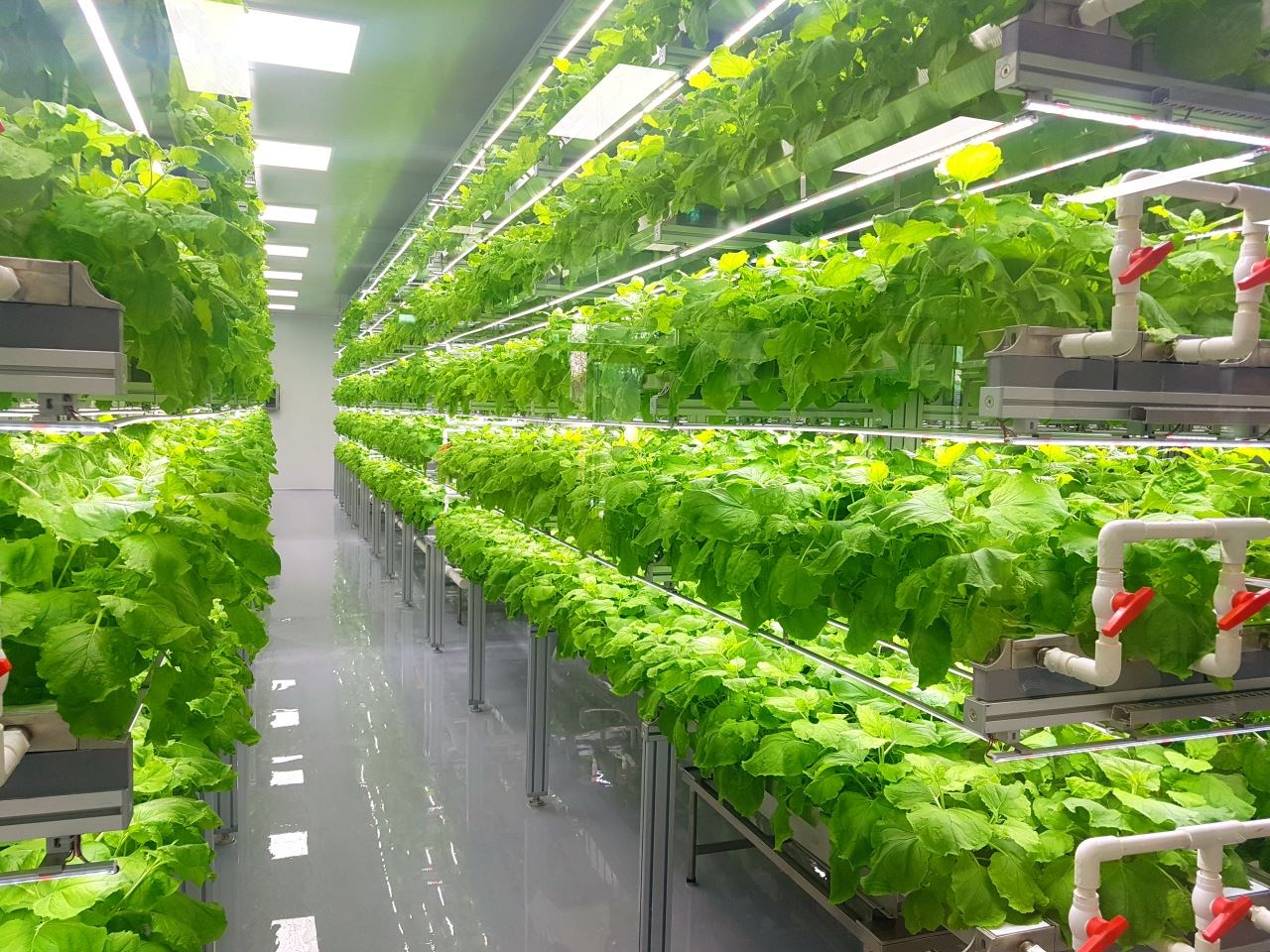 Introduction to Vertical Farming